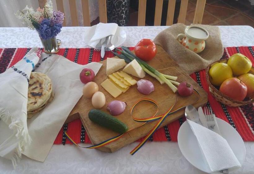 Pensiunea Casa Vanatorului