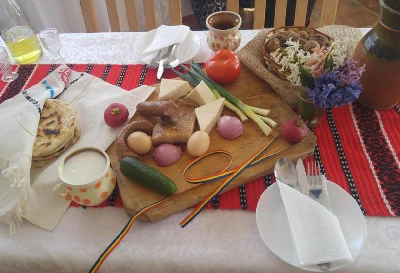 Pensiunea Casa Vanatorului