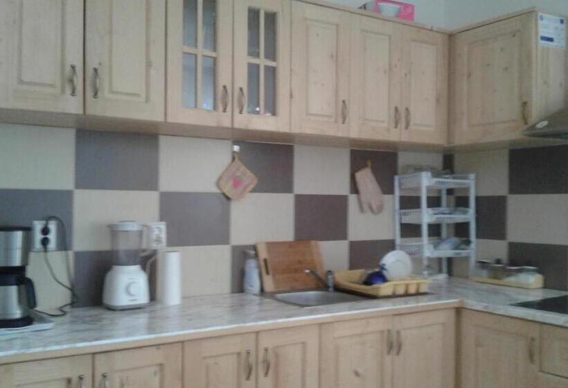 Pensiunea Casa Vanatorului