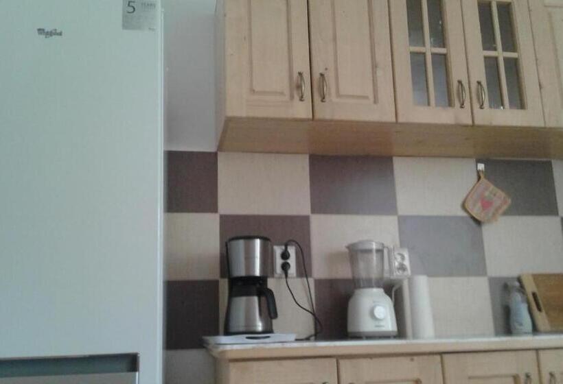 Pensiunea Casa Vanatorului