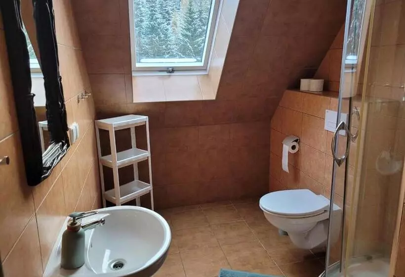 Lomakeskus Góra Dzikowiec Chata Dzika
