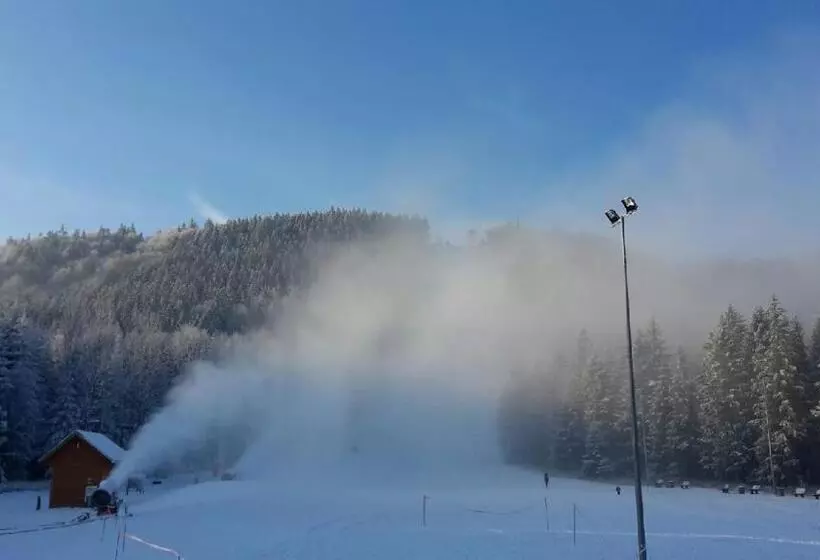 Lomakeskus Góra Dzikowiec Chata Dzika