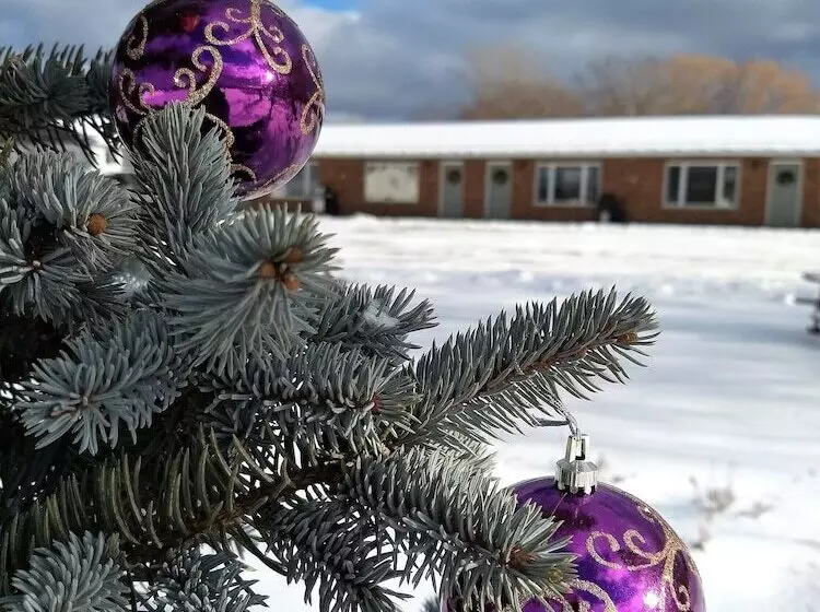 Wayside Motel Manitoulin