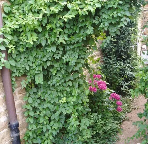 ベッドアンドブレックファースト Chambres D Hôtes Pom  Paille