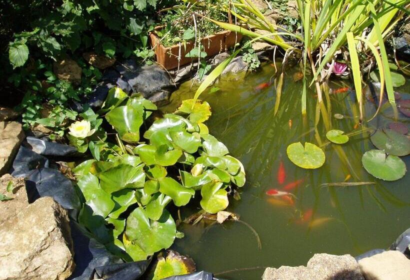 ベッドアンドブレックファースト Chambres D Hôtes Pom Paille