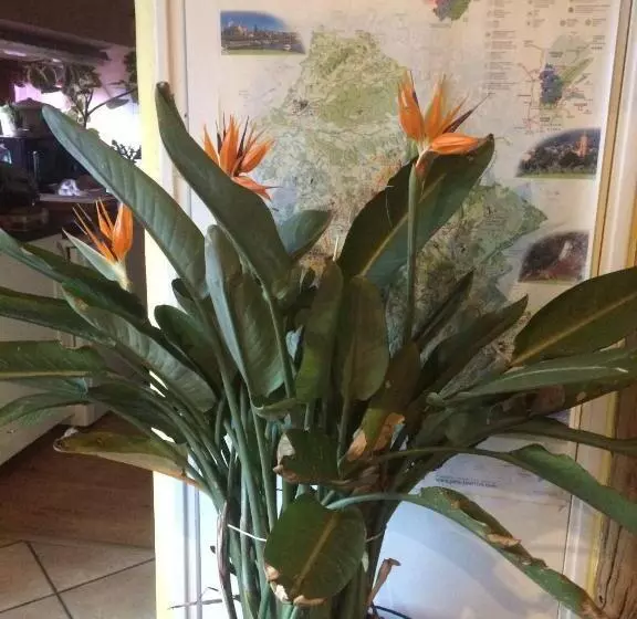 ベッドアンドブレックファースト Chambres D Hôtes Pom  Paille