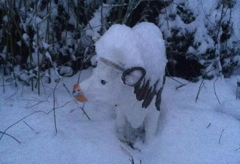 ベッドアンドブレックファースト Chambres D Hôtes Pom  Paille