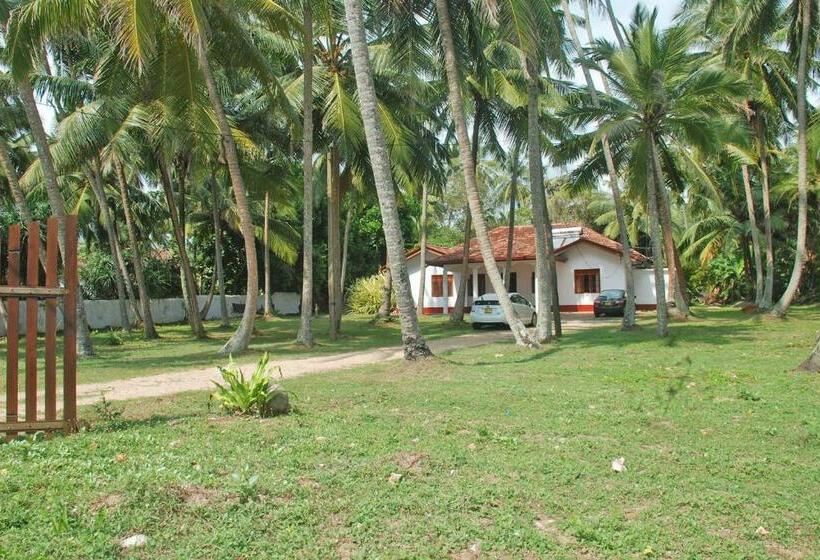 住宿加早餐  Samudra