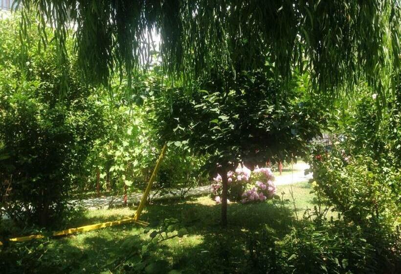 هتل Villa Amsterdam