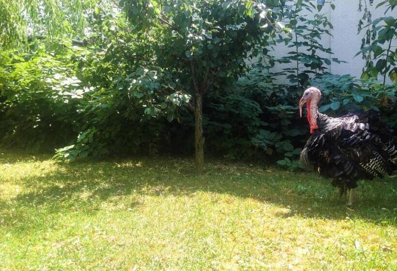 هتل Villa Amsterdam