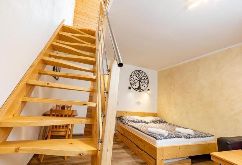 פנסיון Penzion Kormorán