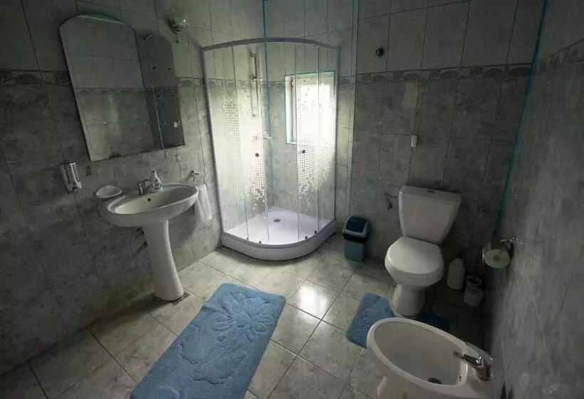 Pensiunea Tincu