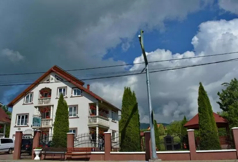 Pensiunea Tincu