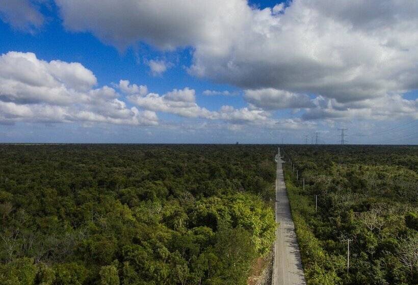 ホテル Mama Loo.mm