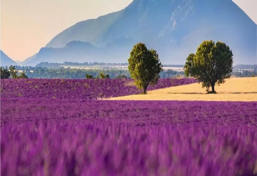 Hotelli Lavanta Villa