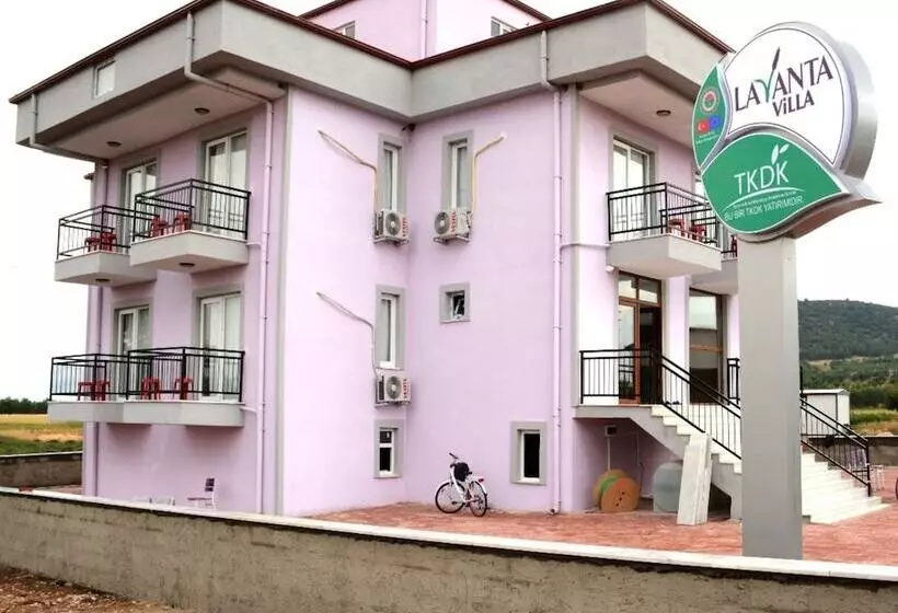Hotelli Lavanta Villa