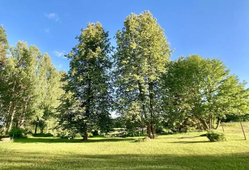 Hotelli Olo Centre By Kolovesi Nature Park