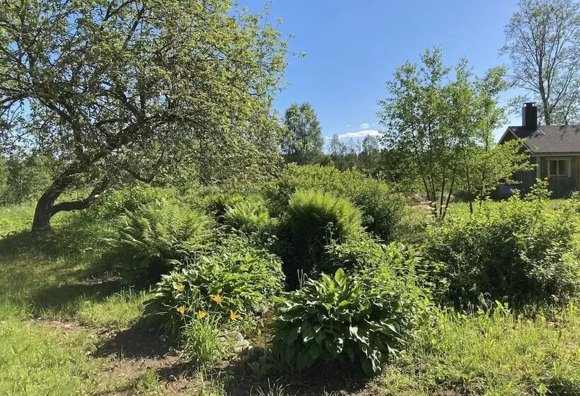 Hotelli Olo Centre By Kolovesi Nature Park