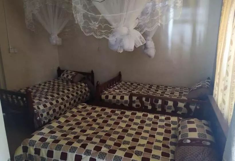 هتل Pega Back Packers