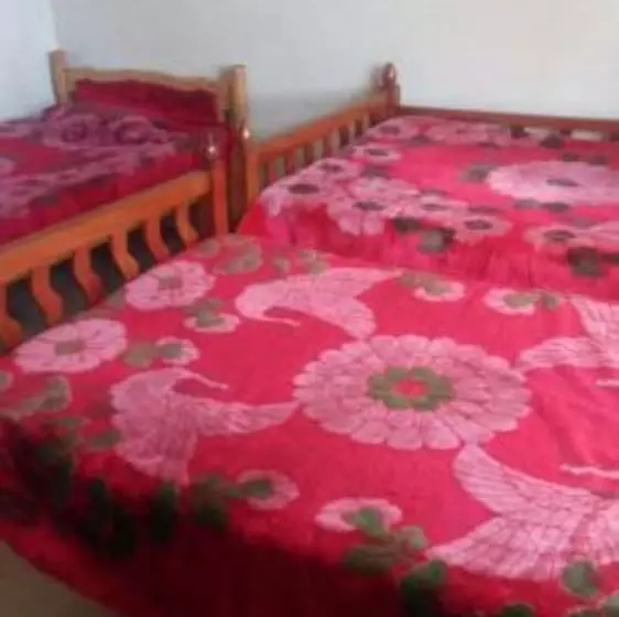 هتل Pega Back Packers