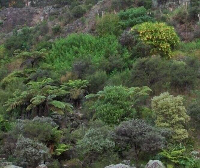 בית מלון כפרי Poripori Homestead