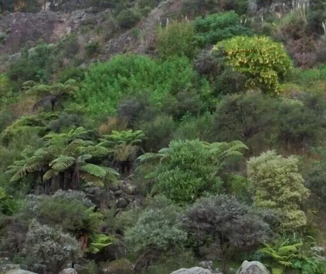 Hotelli Poripori Homestead