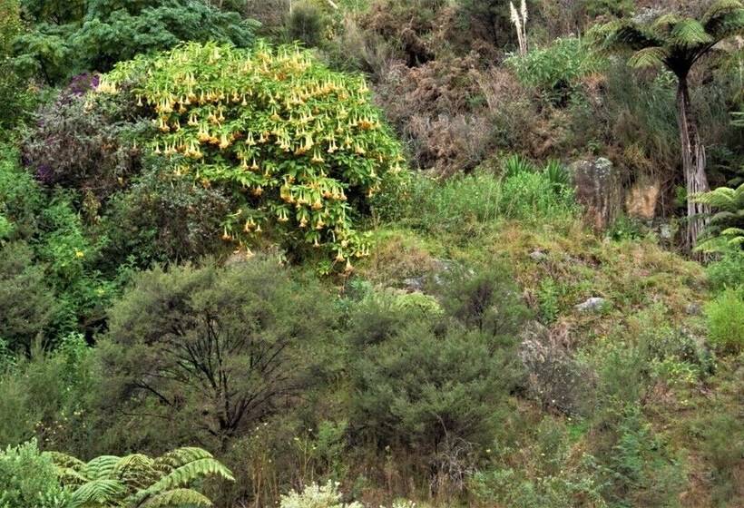 בית מלון כפרי Poripori Homestead