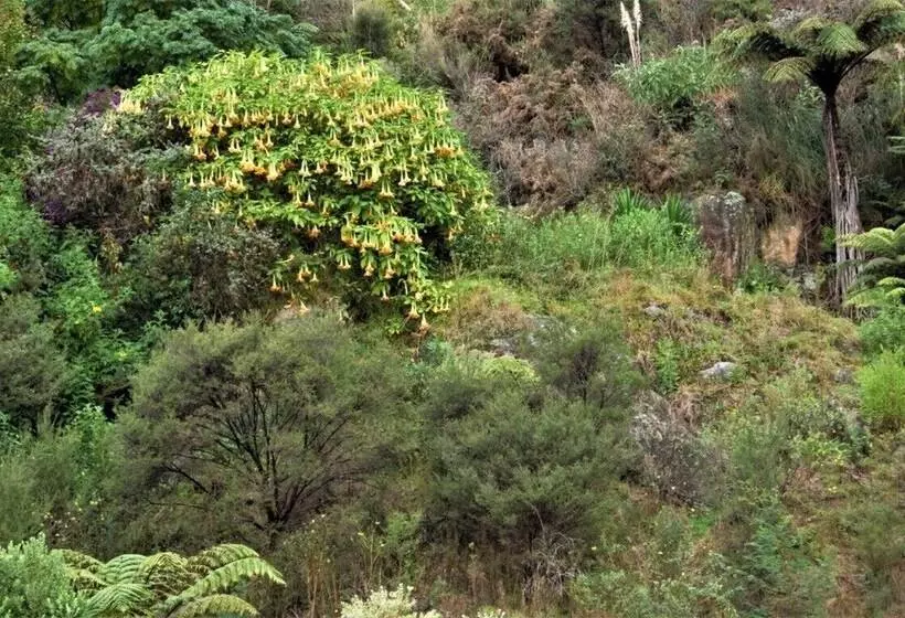 Hotelli Poripori Homestead