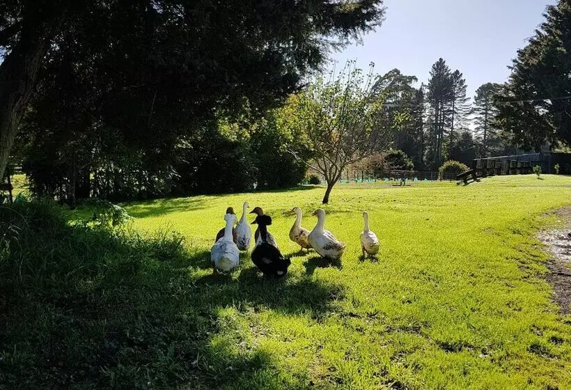 Hotelli Poripori Homestead