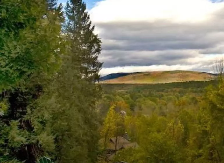 住宿加早餐  Arlington S West Mountain Inn