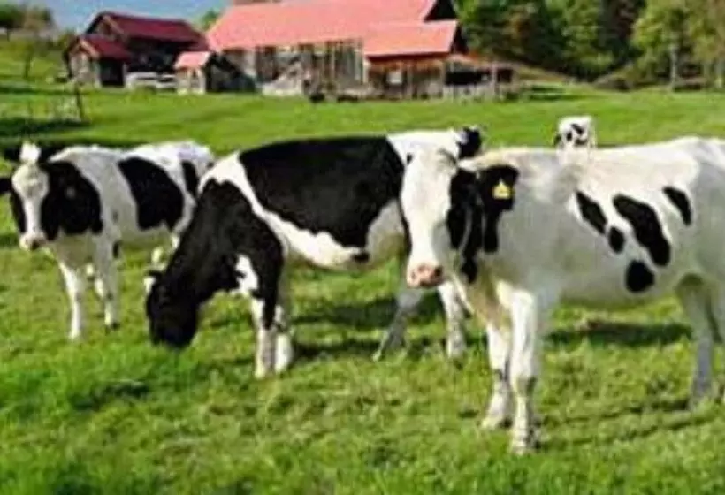 住宿加早餐  Arlington S West Mountain Inn