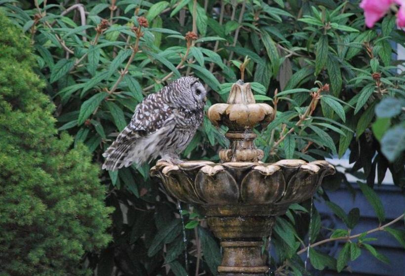 住宿加早餐 Ocean Wilderness Inn