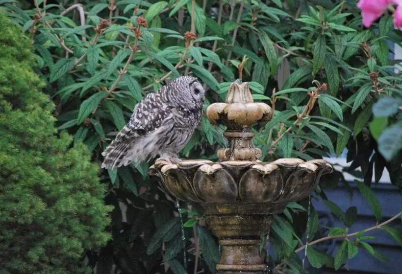 住宿加早餐 Ocean Wilderness Inn