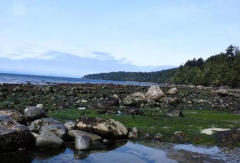 住宿加早餐 Ocean Wilderness Inn