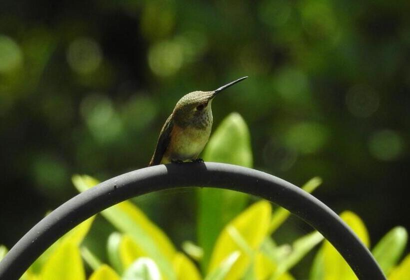 住宿加早餐 Ocean Wilderness Inn