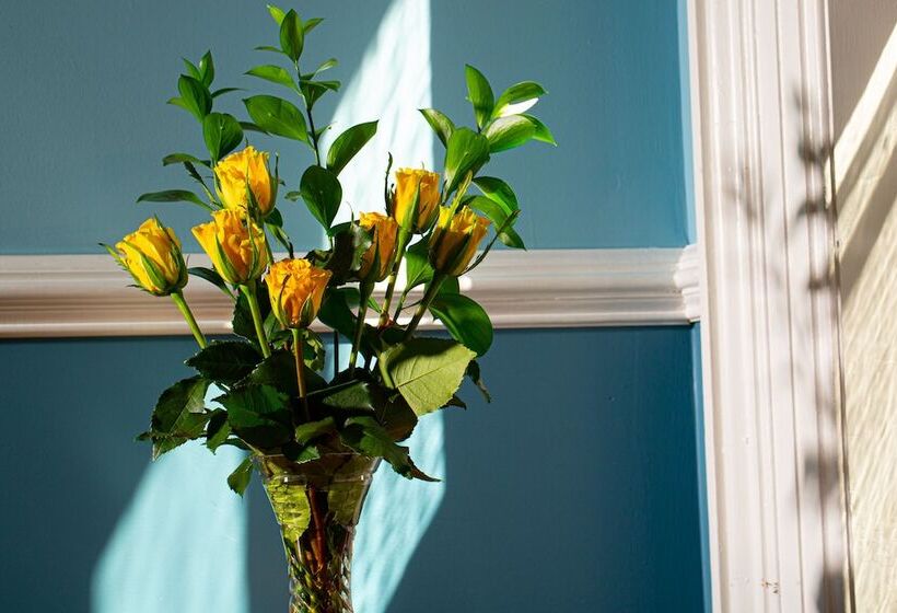 住宿加早餐  Rosemont Inn