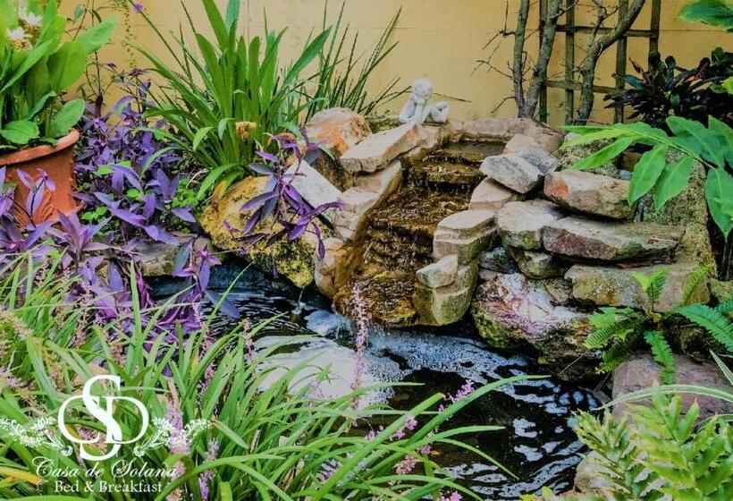 Casa De Solana Bed And Breakfast
