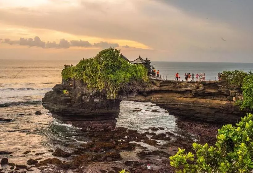 Echoland Boutique Bed And Breakfast