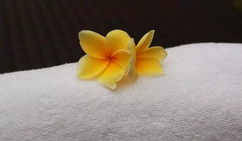 Echoland Boutique Bed And Breakfast