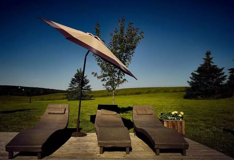 酒店 Auberge West Brome