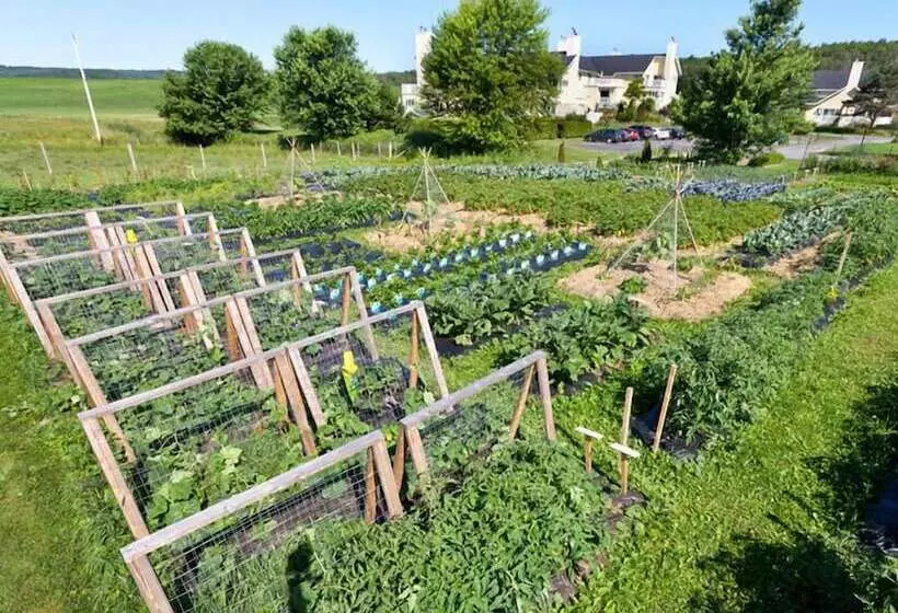 酒店 Auberge West Brome