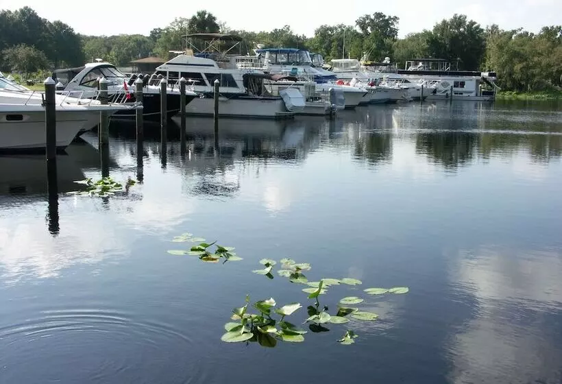 酒店 Big River Marina & Lodge