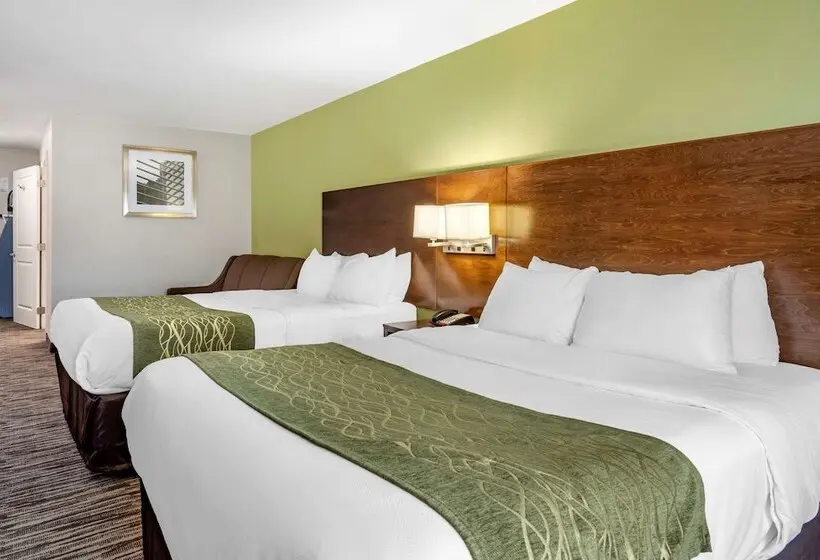 ホテル Comfort Inn & Suites North Little Rock Jfk Blvd