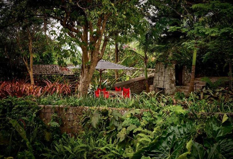 هتل Golden Rock Nevis