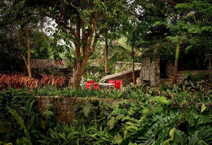 هتل Golden Rock Nevis