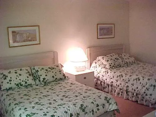 호텔 Las Brisas Condominiums