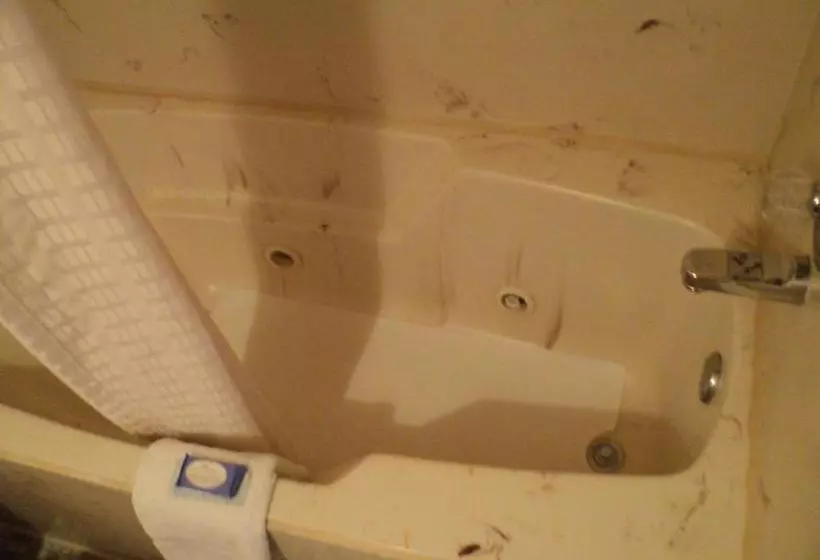 ホテル Relax Inn And Suites Hope