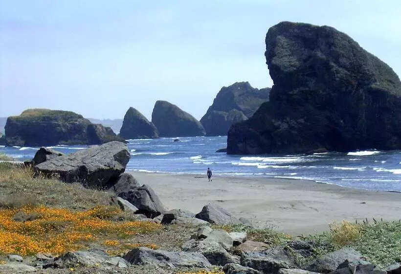 Surestay Plus Hotel By Best Western Gold Beach