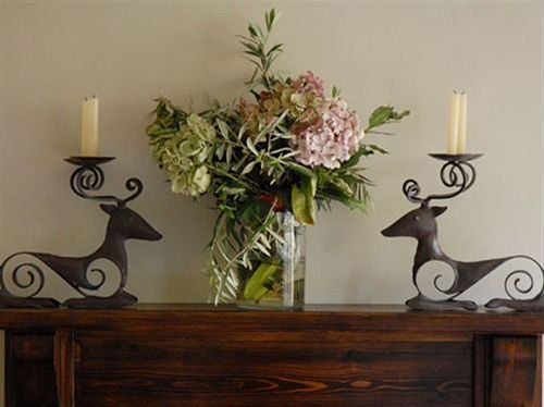 فندق The Cloudesley - Guest House