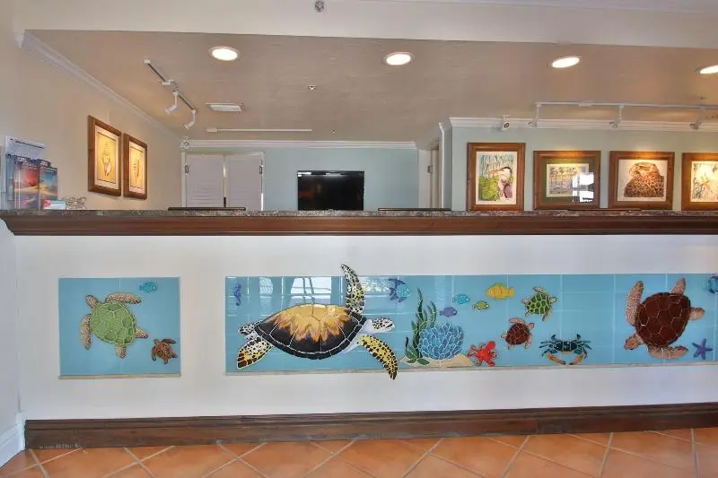 ホテル Tortuga Inn Beach Resort